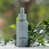 Aveda Scalp Solutions Overhight Renewal Serum Review 1