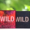 Huda Beauty Wild Palettes