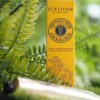 L’Occitane Serum-In-Cream Hand Cream