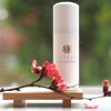 Tatcha Silk Serum 2